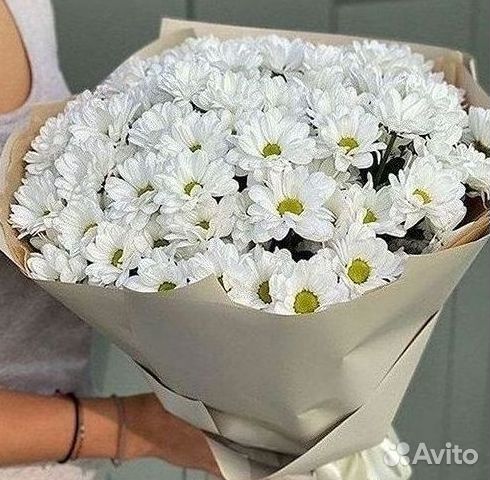 Хризантема Букеты доставка цветов