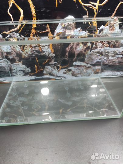 Аквариум 60 л без крышки