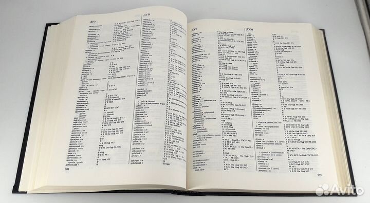 Сводный словарь современной русской лексики в 2 т