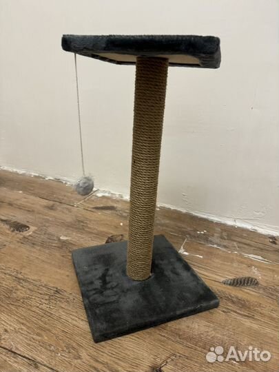 Когтеточка для кошек