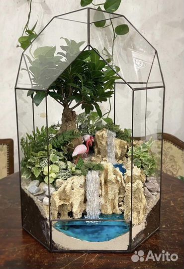 Бонсай флорариум
