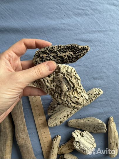 Дрифтвуд набор