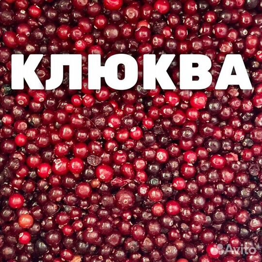 Клюква
