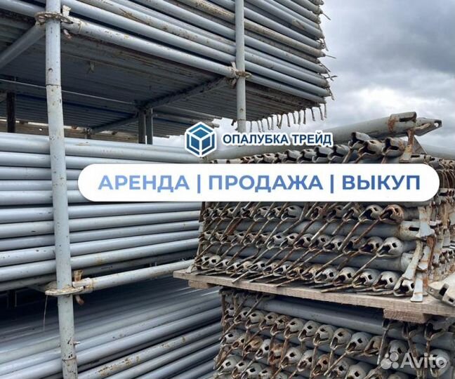 Клиновые леса