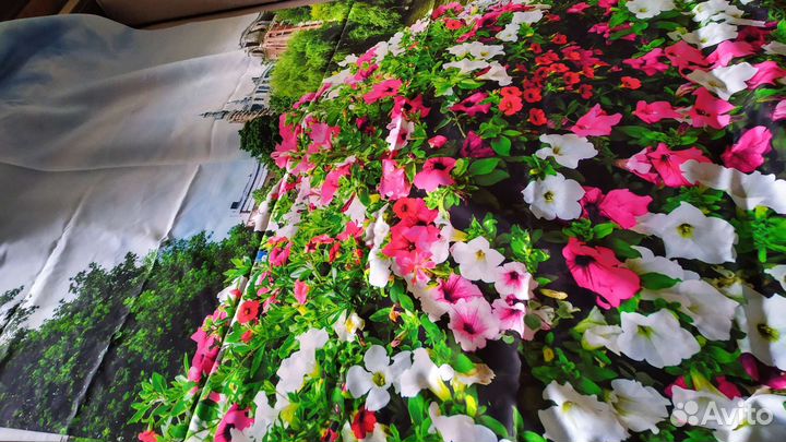 Шторы амстердам,сирень