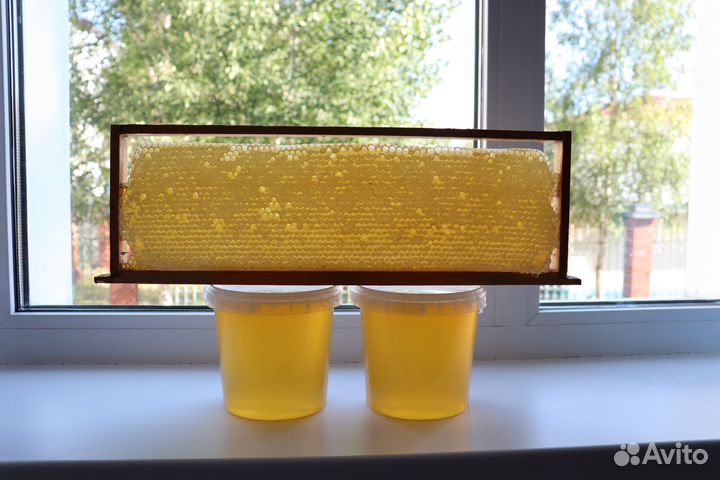 Липовый мед