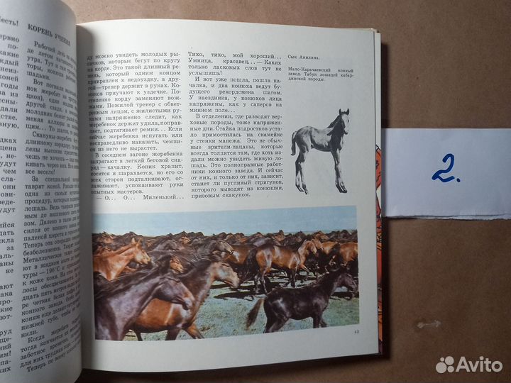 Прощайте и здравствуйте, кони Алмазов Борис