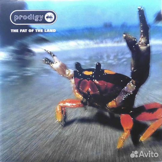 Виниловые пластинки Prodigy