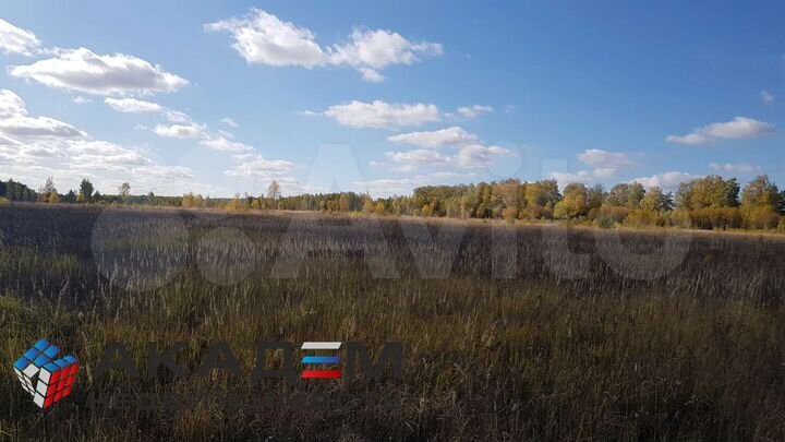 Участок 6,6 га (ИЖС)