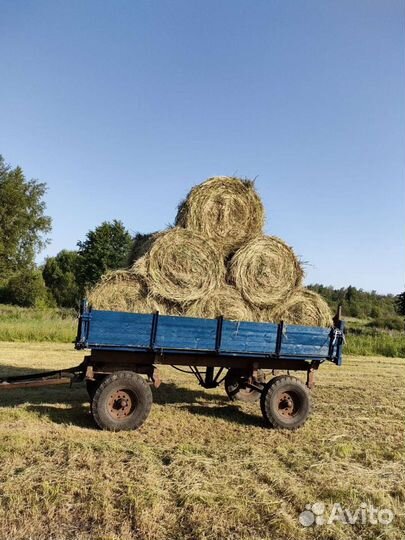 Продам сено
