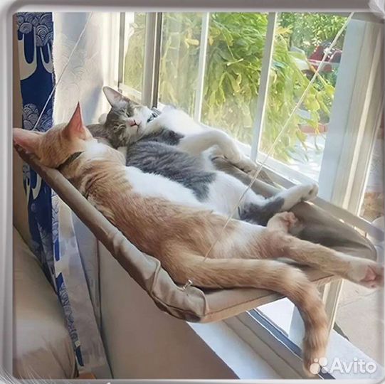 Лежанка для кошек на окно