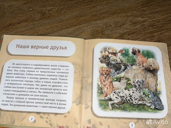 Книжки про животных