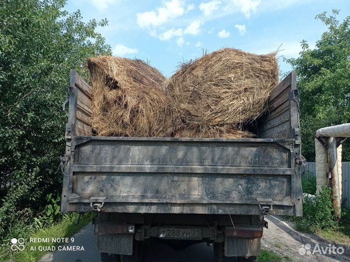 Сено и солома с доставкой