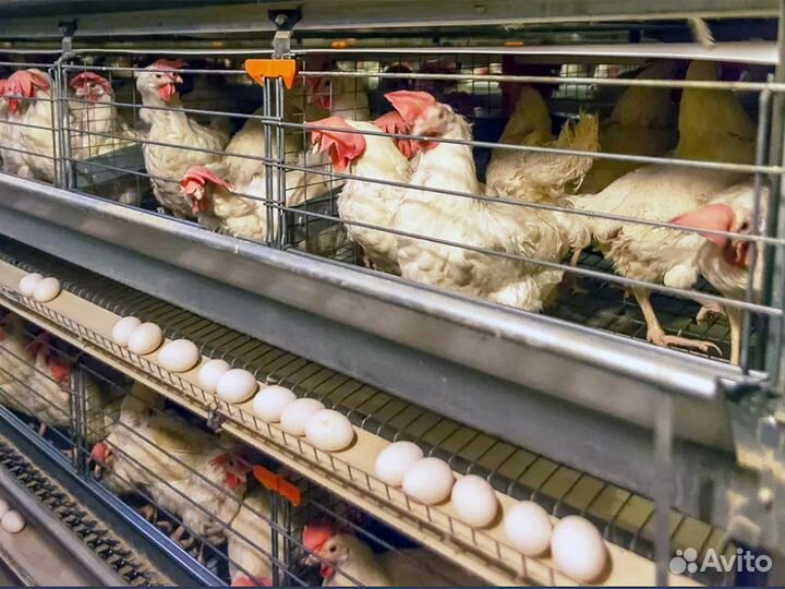 Подсобный рабочий