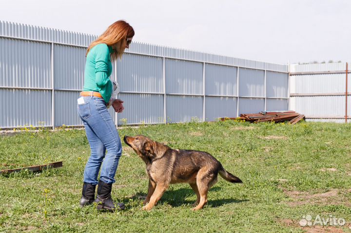 Отдаю даром замечательную Мотю в добрые руки