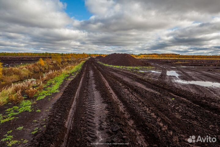 Торф. Самовывоз и доставка