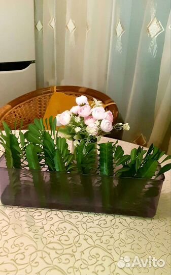 Комнатные цветы