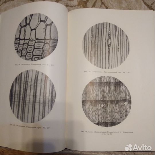 Книги лесной промышленности