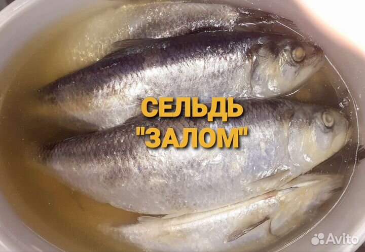 Сельдь Залом с/с 700+. Филе сельди