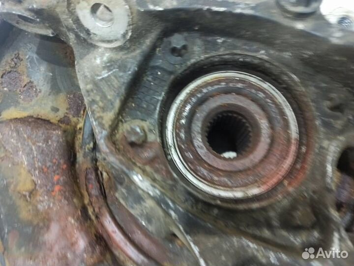 Кулак задний левый