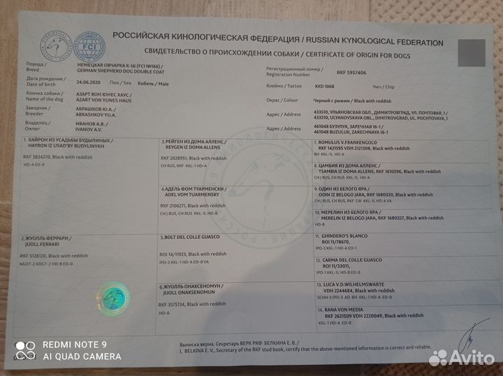 Немецкая овчарка вязка