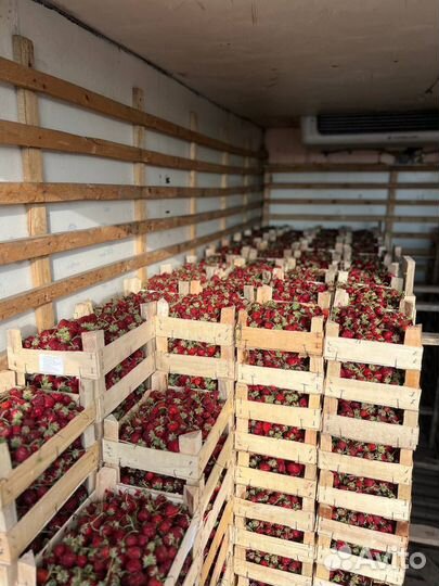 Ягоды из Киргизии