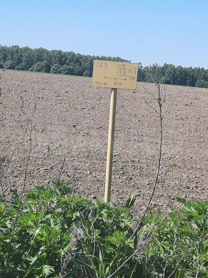 Участок 5,6 га (СНТ, ДНП)