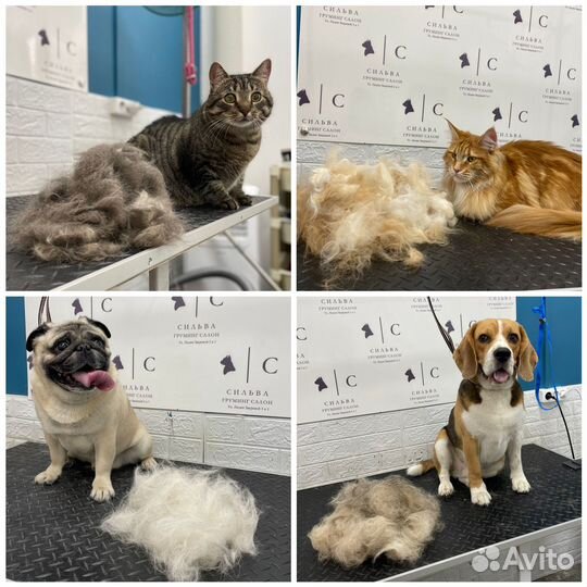 Стрижка собак