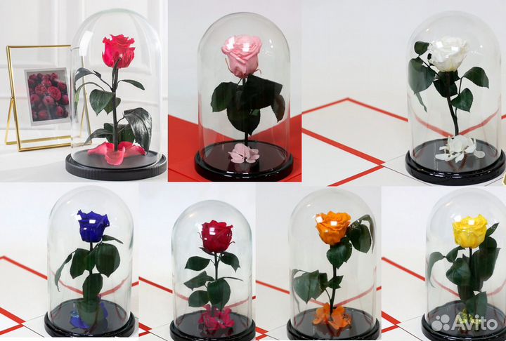 Вечная роза в колбе