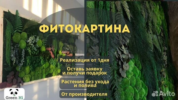 Фитокартина