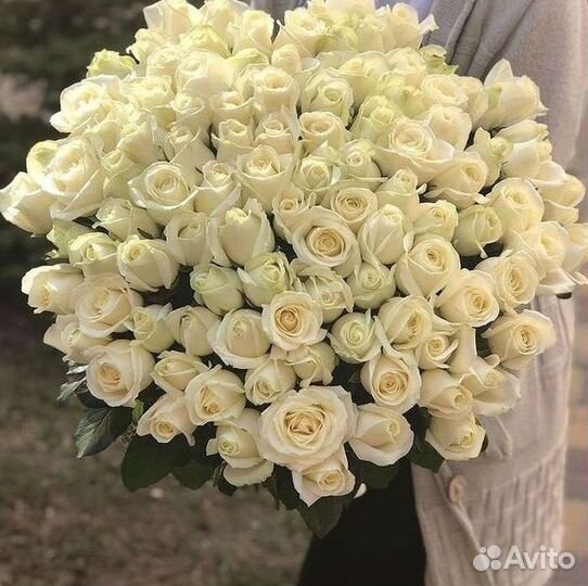 Длинные высокие розы 110 150 160 180 200 см