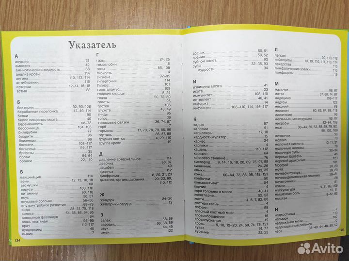 Книга Тело человека