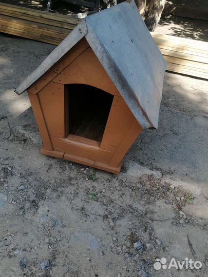 Собачья будка