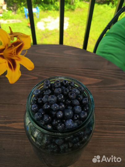 Черника свежая