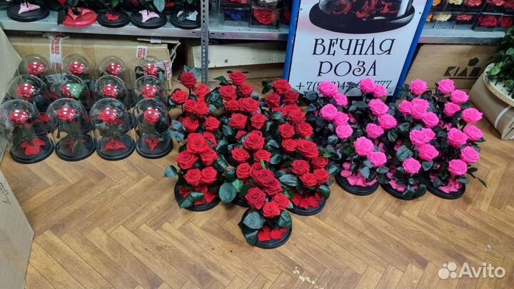 Цветы оптом и в розницу