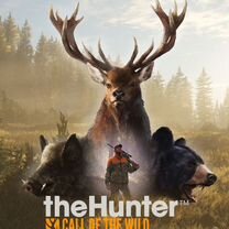 TheHunter call of the wild ps4 и ps5