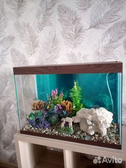 Аквариум 100 литров