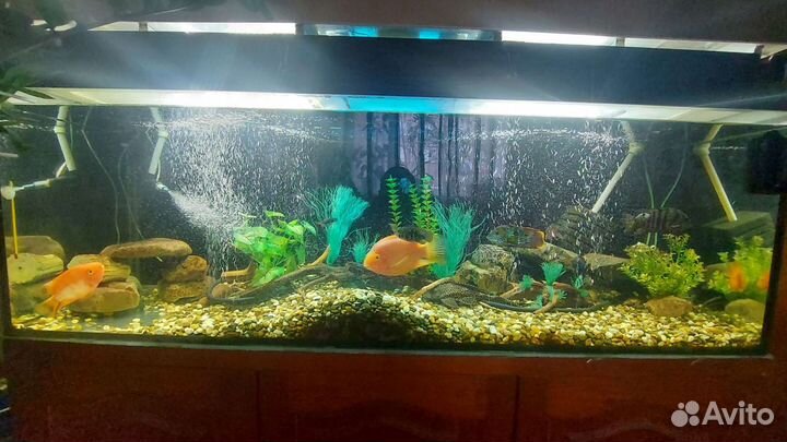 Аквариум
