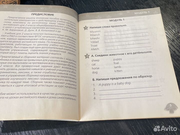 Сборник упражнений по Английскому языку 2 класс