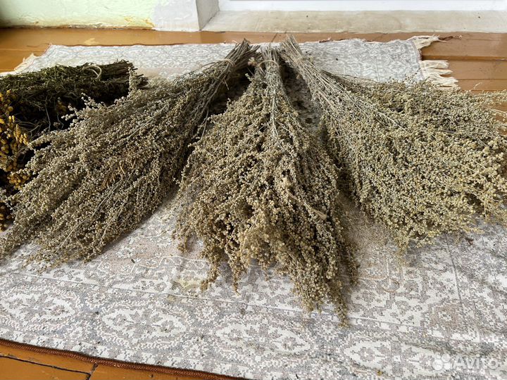 Лекарственные травы