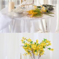 Аренда фотостудии Veeles Studio, Липецк