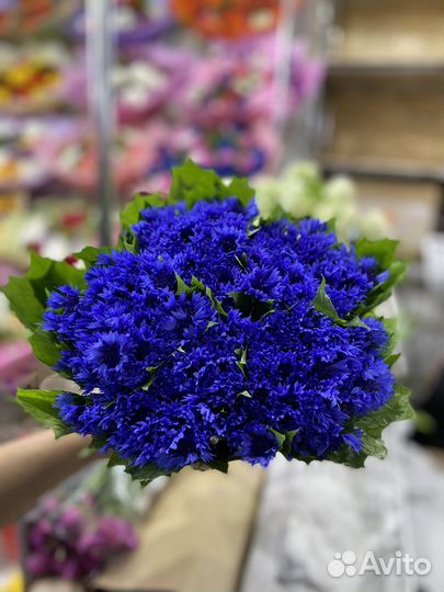 Васильки, букеты, цветы, ландыши, пионы, розы