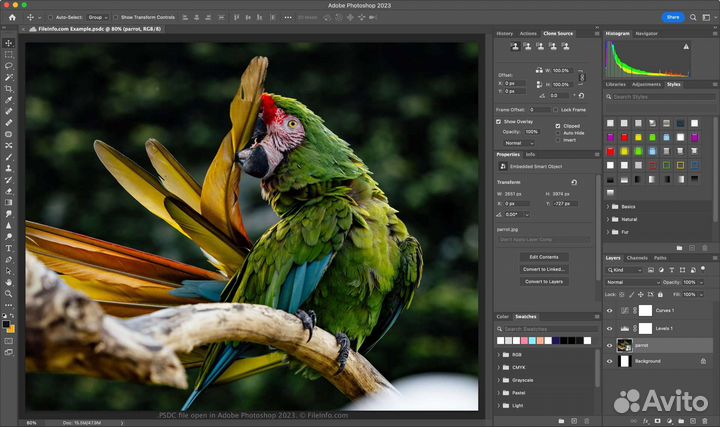 Adobe Photoshop 2022/2023