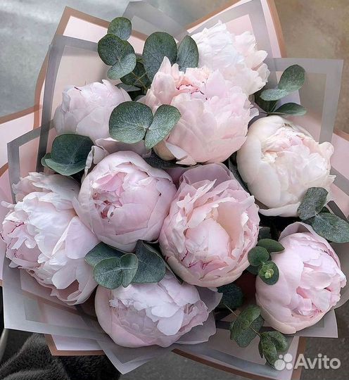 Пионы Букет пионов