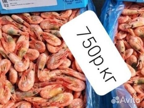 Рыба и морепродукты
