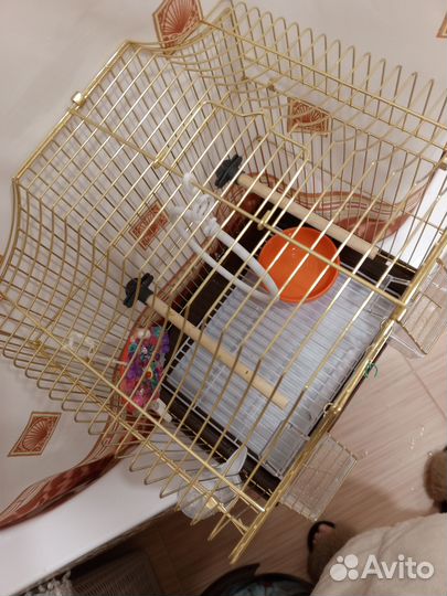 Клетка для попугая