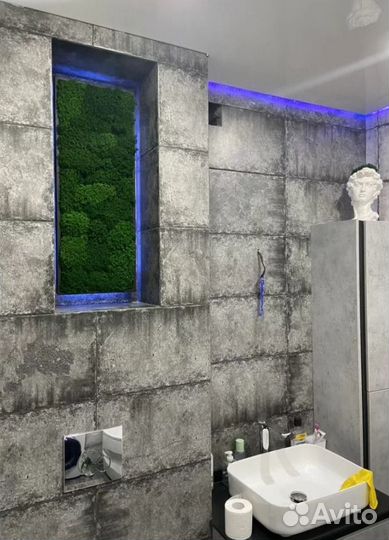 Мох для кашпо и панно опт и розница производство