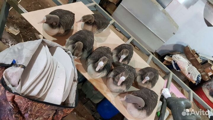 Чучела гусей флоковые Greenhead Gear