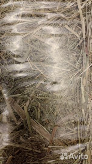 Сено луговое 4*650г