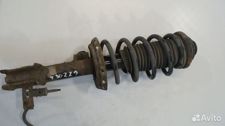 Амортизатор подвески Opel Zafira B, 2010